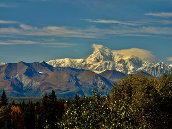 Scenic view of denali from train