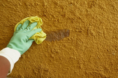 High angle view of woman