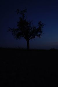 Silhouette tree on field against clear sky at night