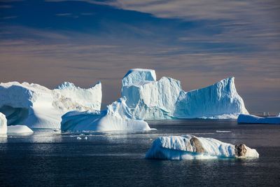 Scenic view of icebergs in sea against snowcapped mountains