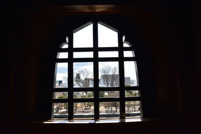 Trees seen through glass window