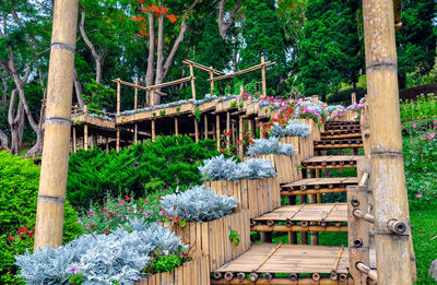 View of flowering plants in garden