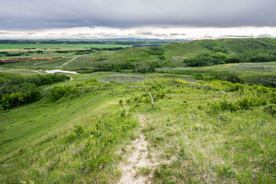 Scenic view of green landscape against sky