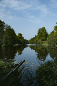 Scenic view of lake in forest against sky