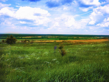 Scenic view of grassy field against cloudy sky