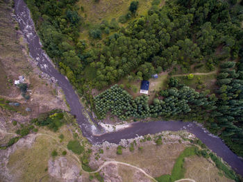 High angle view of road amidst trees