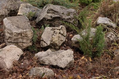 High angle view of rocks