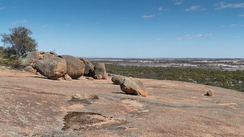 Landscape around the wave rock, famous place in the outback of western australia