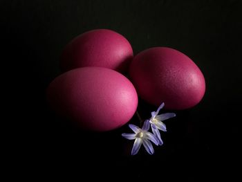 Close-up of pink eggs and purple flowers against black background