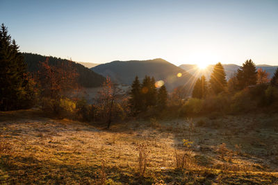 Beautiful autumn landscape in sunrise.