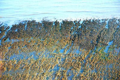 Full frame shot of water surface