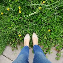 Low section of person standing on grass