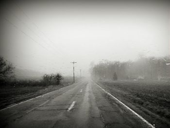 Country road along trees