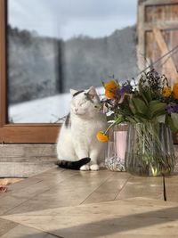 Cat sitting on tiled floor