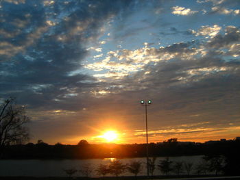 Silhouette trees against sky during sunset