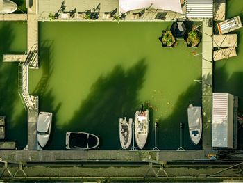 Rear view of people walking on street