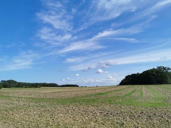 Scenic view of agricultural field against sky