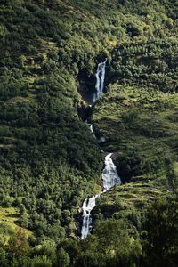 Waterfall in forest