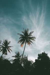 Low angle view of silhouette palm trees against sky