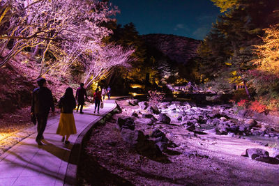 People on rocks at night