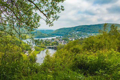 Scenic view of river amidst trees against sky