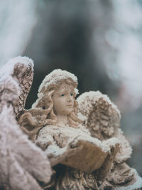 Close-up of angel statue during winter