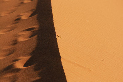 Close-up of shadow on wall