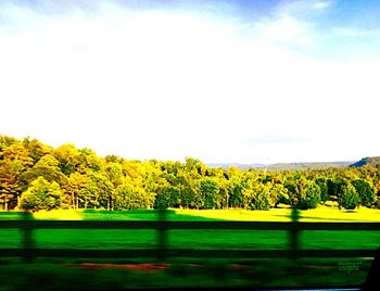 Trees growing on field
