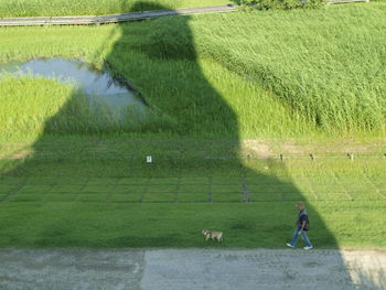 People on field by land