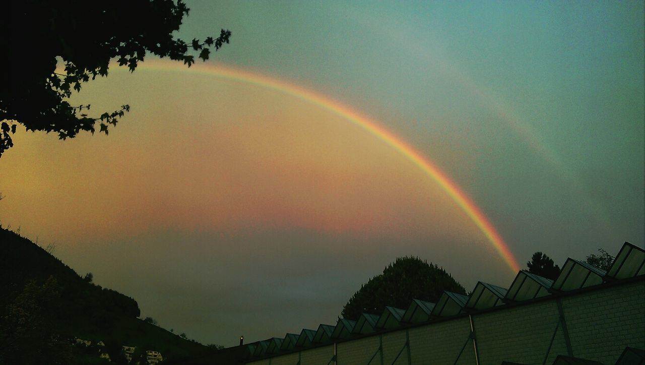 rainbow, sky, tree, scenics, beauty in nature, sunset, cloud - sky, multi colored, tranquility, nature, tranquil scene, idyllic, weather, cloudy, outdoors, dramatic sky, landscape, dusk, no people, cloud