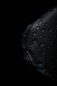 Close-up of raindrops on leaf against black background