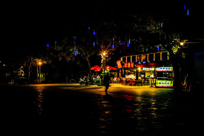 Illuminated street by trees in city at night