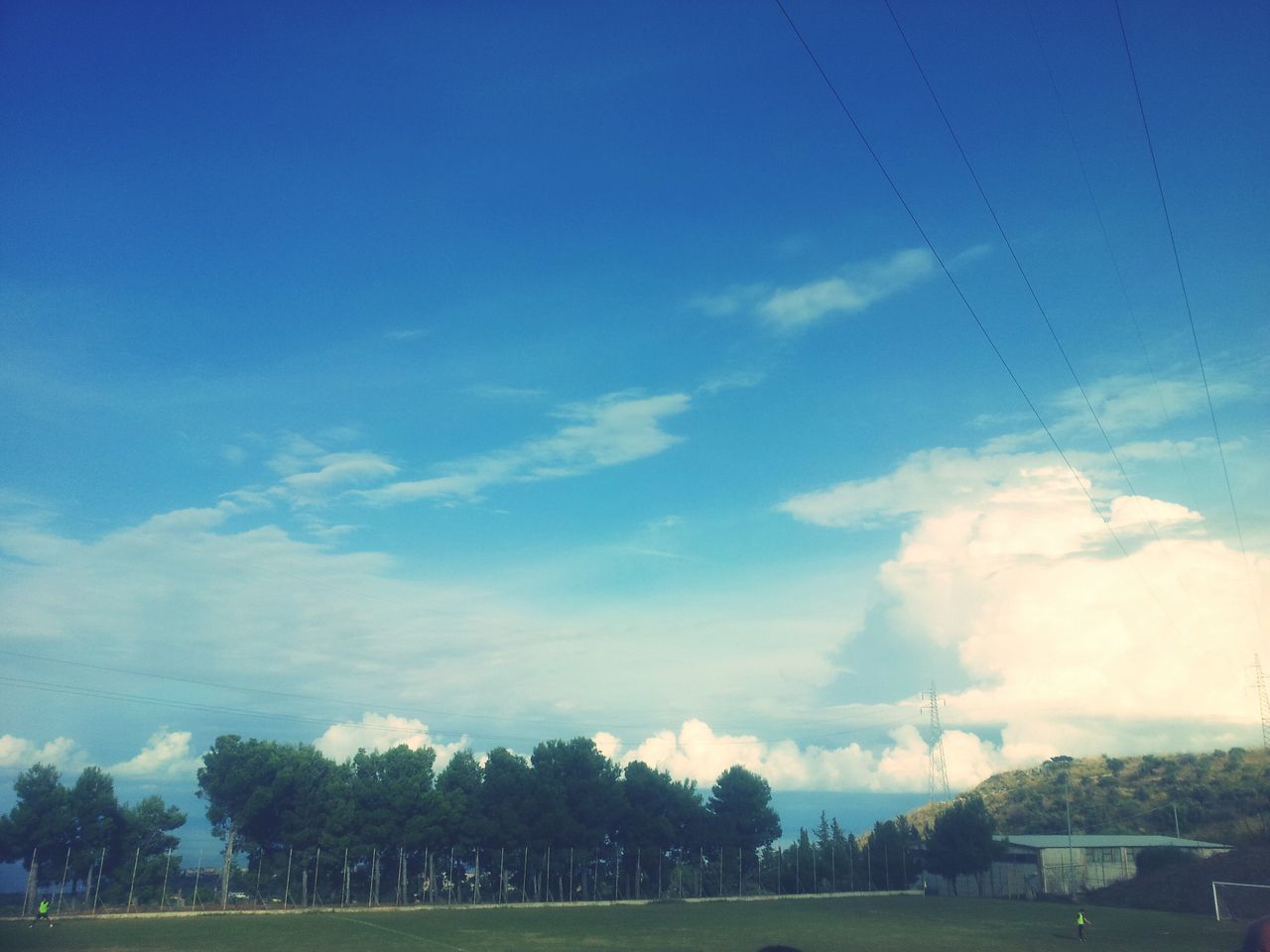 sky, blue, field, landscape, tree, tranquil scene, tranquility, scenics, grass, beauty in nature, nature, cloud - sky, cloud, non-urban scene, grassy, rural scene, day, outdoors, growth, no people