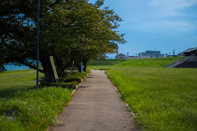 Footpath amidst trees on field against sky