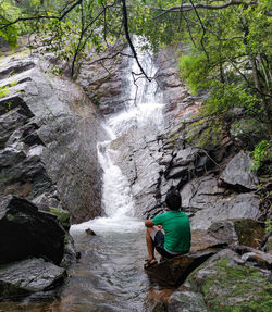 Rear view of man standing in forest