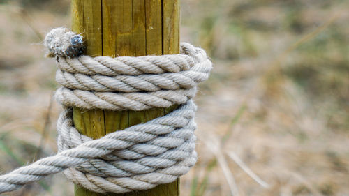 Close-up of rope tied on wooden post