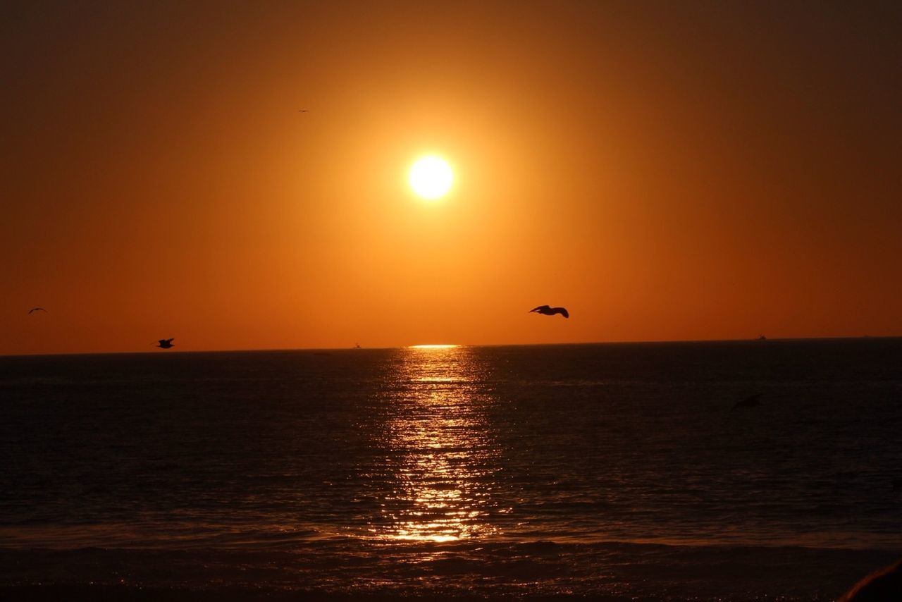 sunset, sea, sun, horizon over water, water, scenics, orange color, tranquil scene, beauty in nature, tranquility, idyllic, silhouette, flying, waterfront, nature, sky, bird, reflection, seascape, rippled