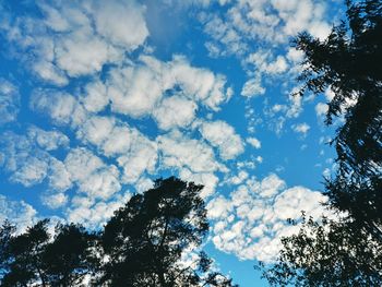 Low angle view of silhouette trees against sky