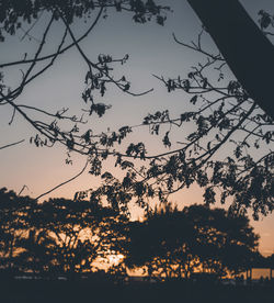 Silhouette trees against sky during sunset