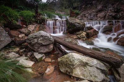 Scenic view of waterfall in forest