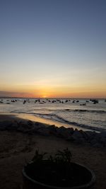 Scenic view of beach against clear sky during sunset