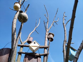 Low angle view of bird hanging on tree against sky