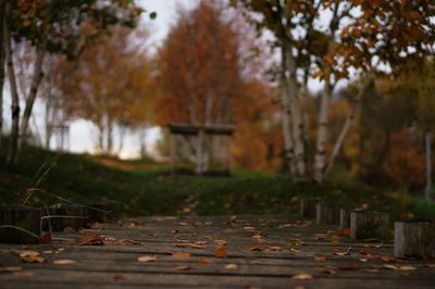 Empty bench in park during autumn