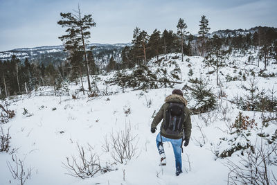 Rear view of woman on snow covered land