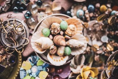 High angle view of shells