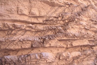 Full frame shot of rock formations