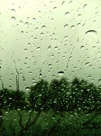 Close-up of water drops on glass