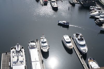 High angle view of ship moored at harbor