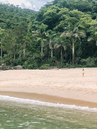 Scenic view of sea against trees