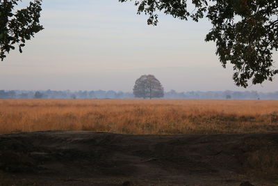 Scenic view of field against sky during sunset